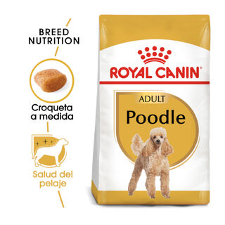 Royal Canin Adult Poodle ração para cães